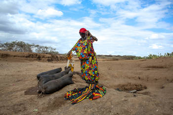 An Ethiopian woman fills up a bucket of water in the middle of a dry field
